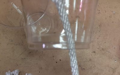 Self Watering Seed Starters