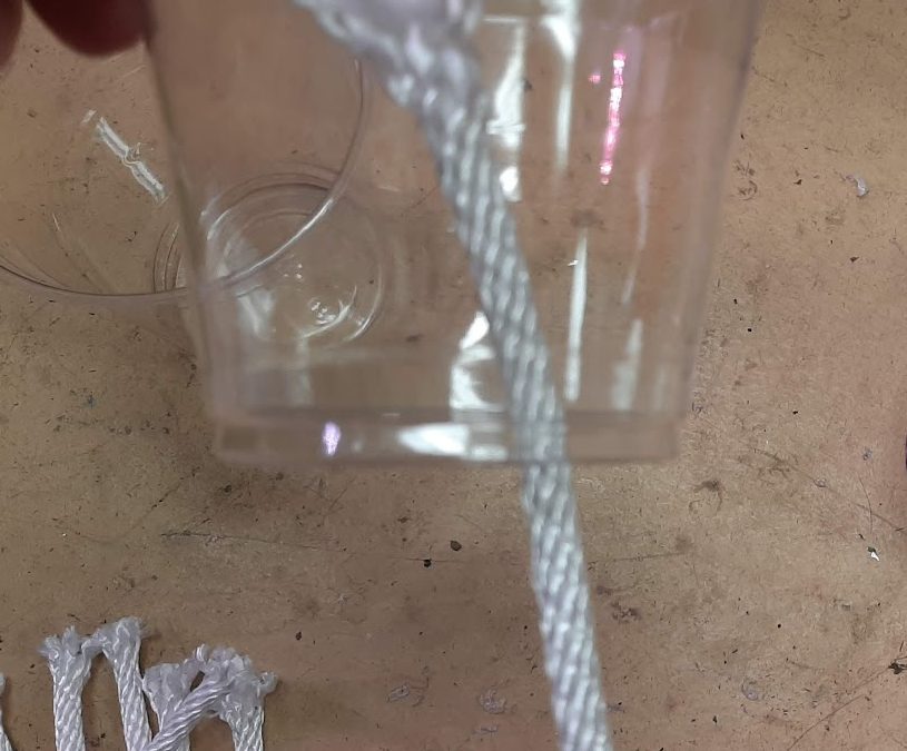 Self Watering Seed Starters