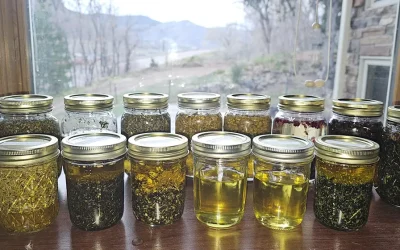 DIY Herbal Infused Oil