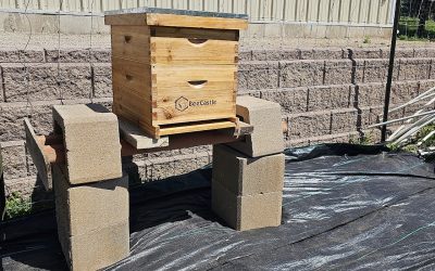 Building Beehive Stand