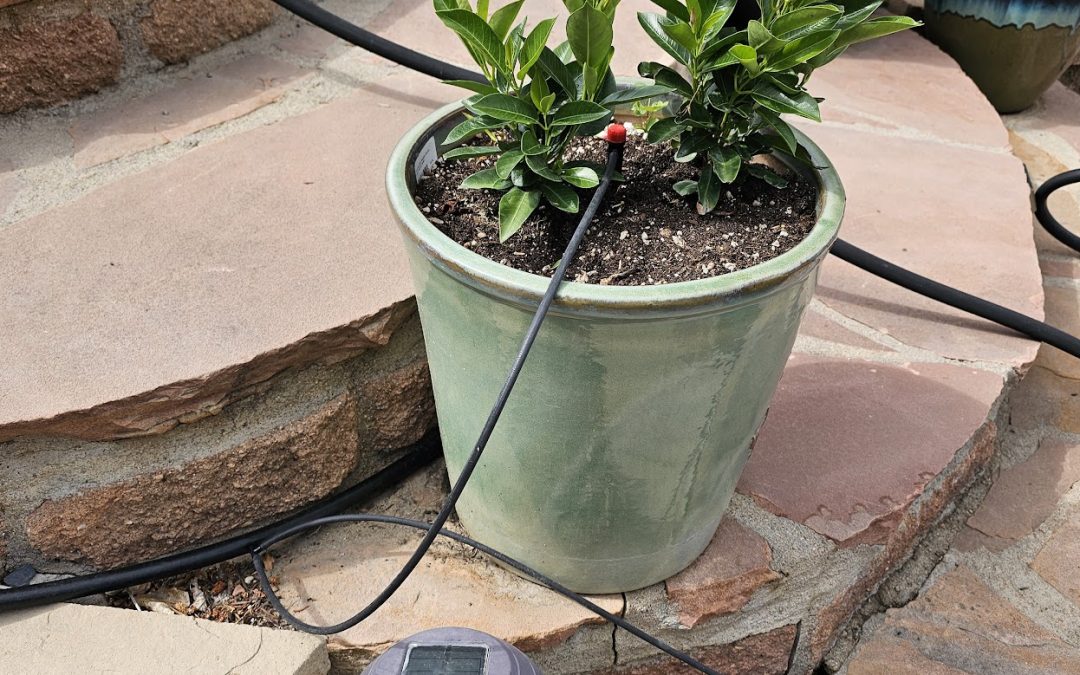 Setting Up Drip System