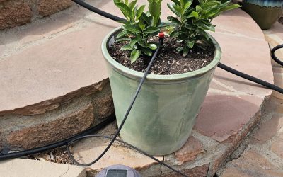 Setting Up Drip System