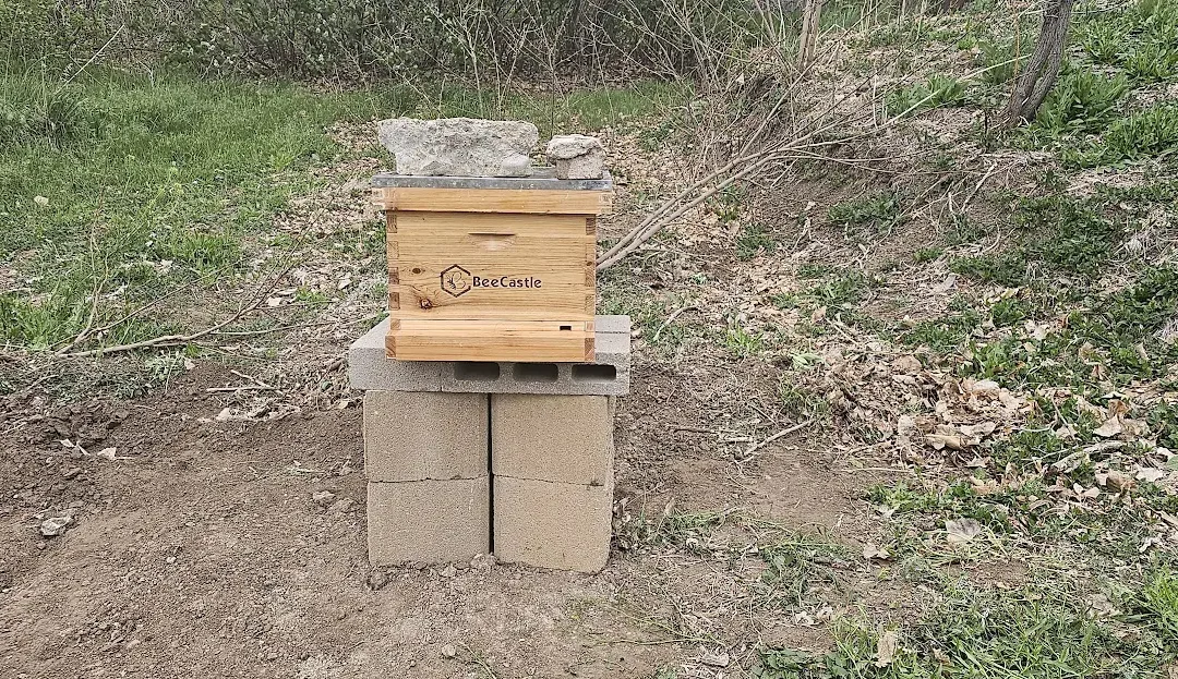 Moving Beehive Stand