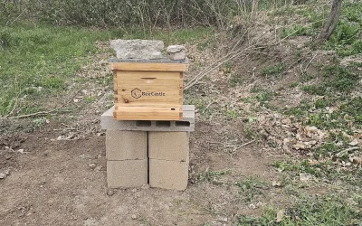 Moving Beehive Stand