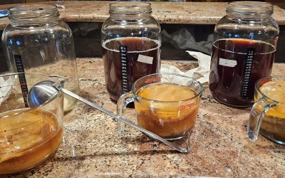 Brewing My Own Kombucha