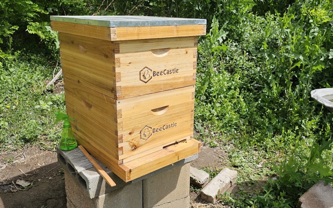 Add Second Brood Box