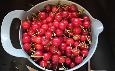 Cherry Pie Filling Recipe