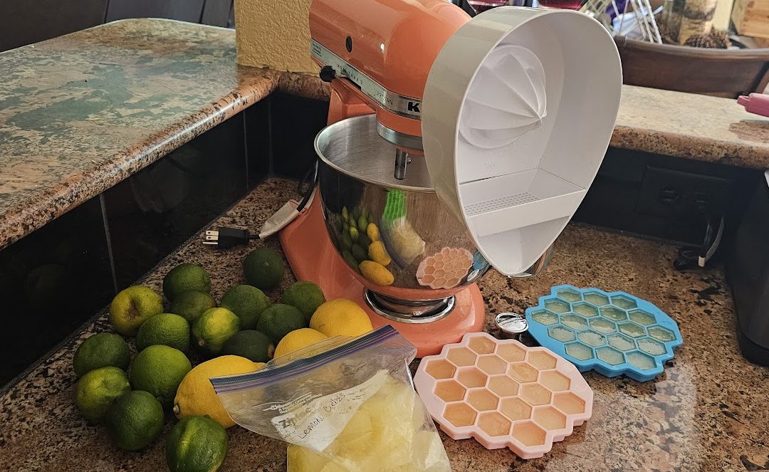 Preserving Lemon & Limes