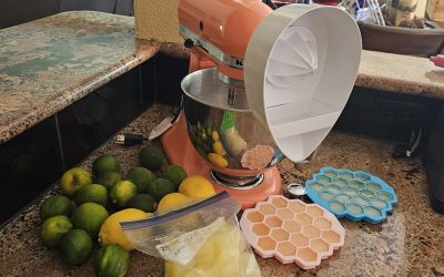 Preserving Lemon & Limes