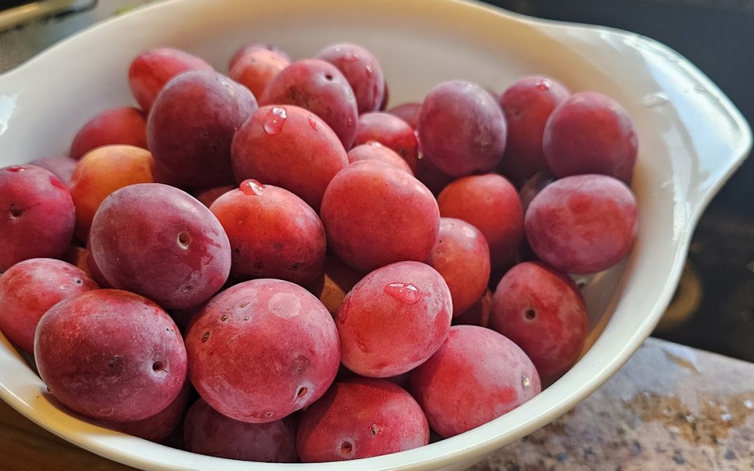 Canning Plum Jam