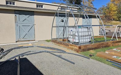 Finally Got A Greenhouse