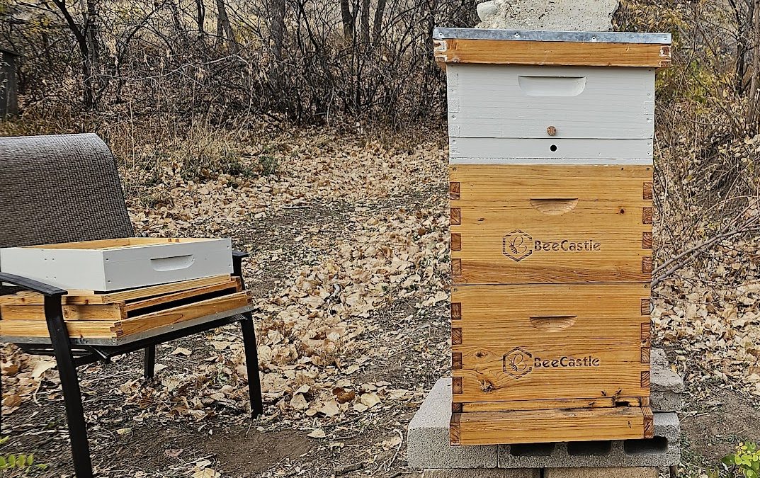 Candy Board & Quilt Box