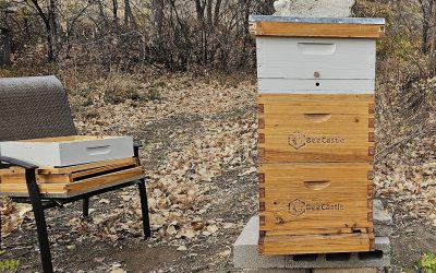 Candy Board & Quilt Box