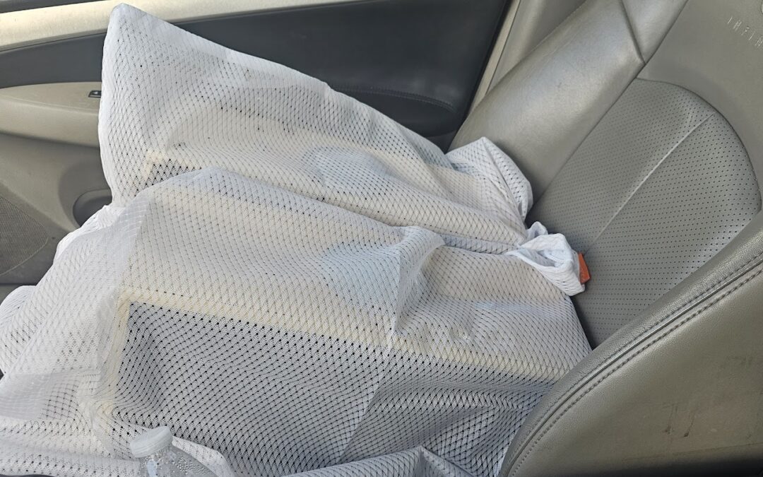 Bee Package Installation