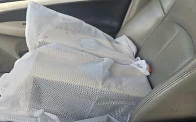 Bee Package Installation