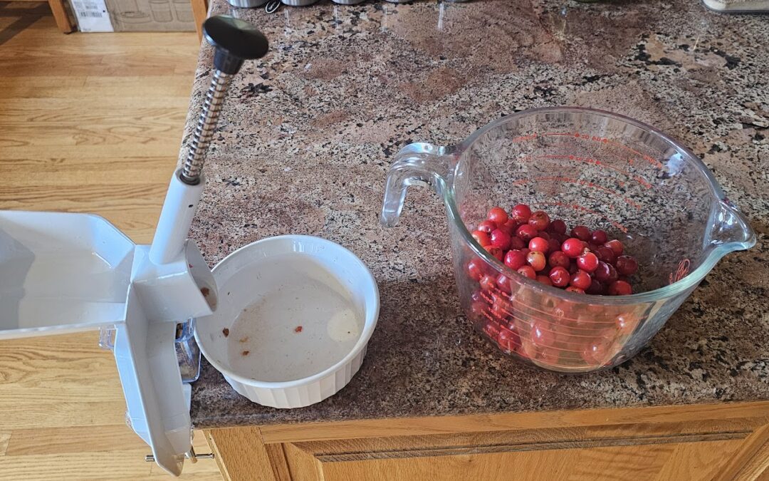 Sour Cherry Jam