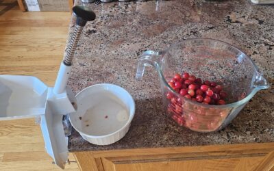 Sour Cherry Jam