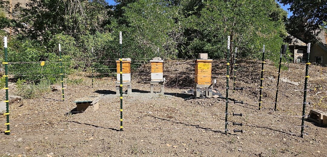 Electric Fence