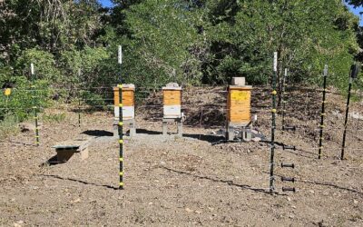 Electric Fence