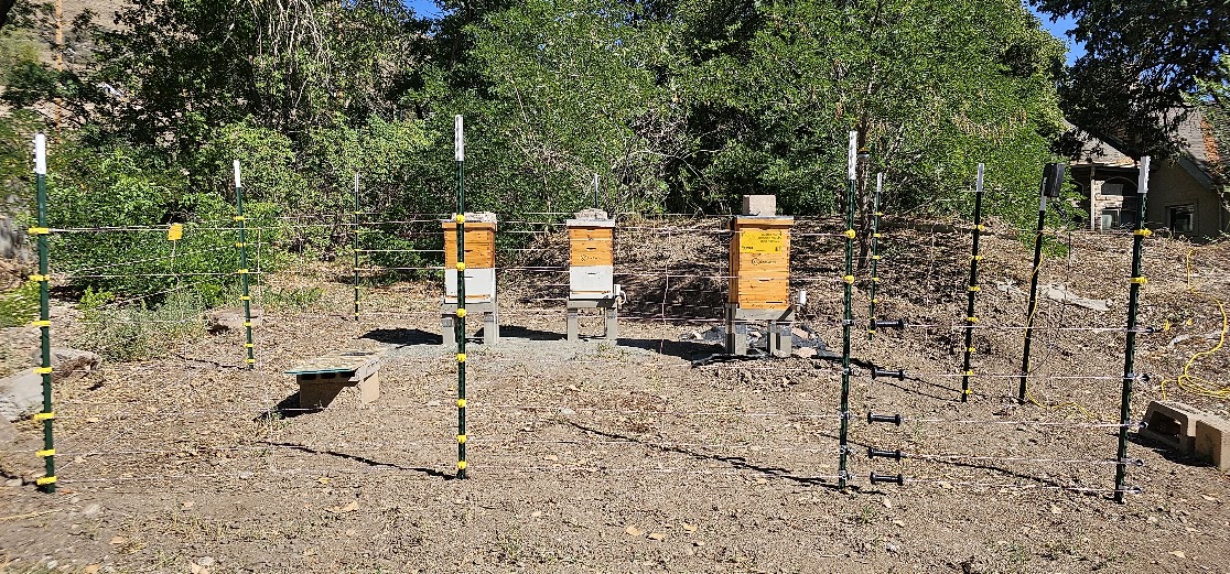 beehive-electric-fence