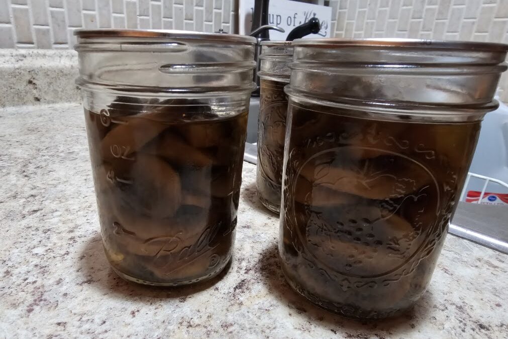 Canning Mushrooms